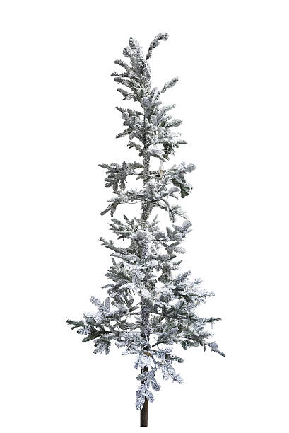 istock Christmas tree in the snow isolated 2248124712