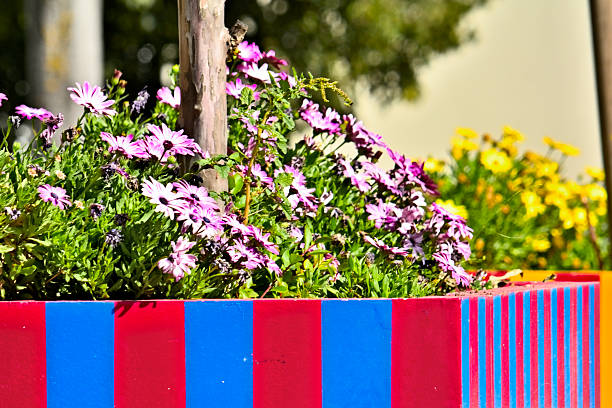 Moody Film Photo of Colorful Flowers Outdoors in the Spring of 2024