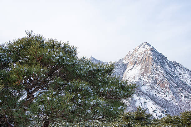 Insubong Peak and Baegundae in Bukhansan National Park, Seoul Korea 북한산 인수봉 백운대 설경