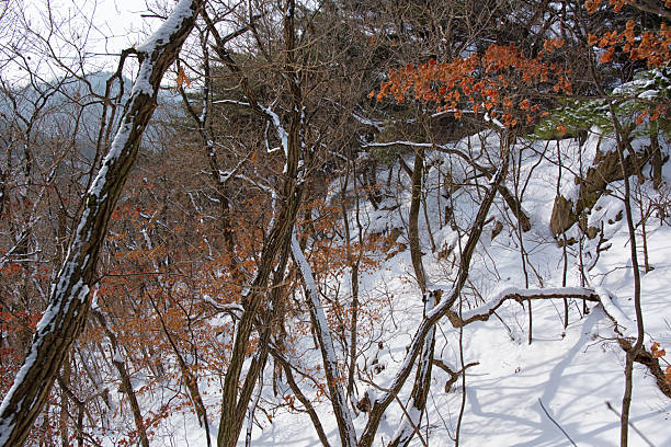 Bukhansan National Park, Seoul Korea 북한산 설경