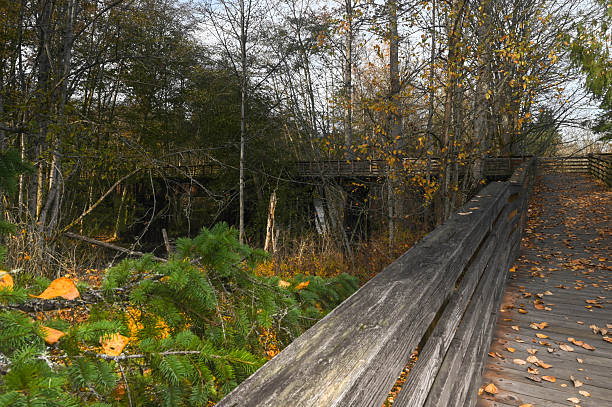 Oldish looking wooden bridge scattered autumn leaves.  Location is Sequim, WA.