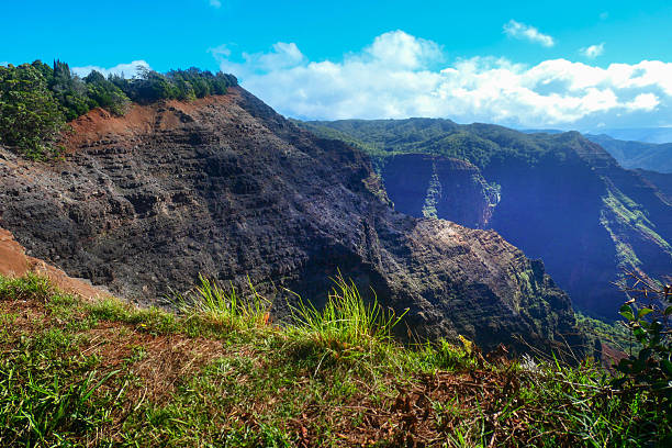 Waimea Canyon Vista