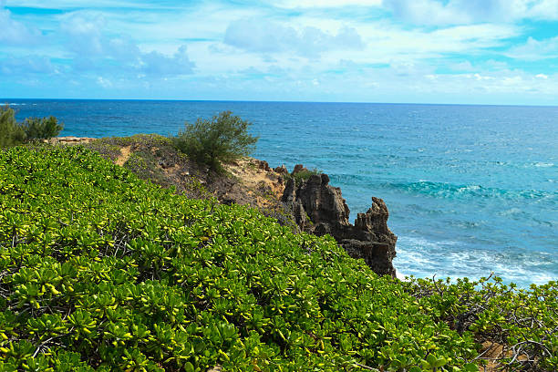 Coastal scenery from the Heritage trail that travels from Poipu, Kauai area to numerous overlooks.  Very scenic but hot.