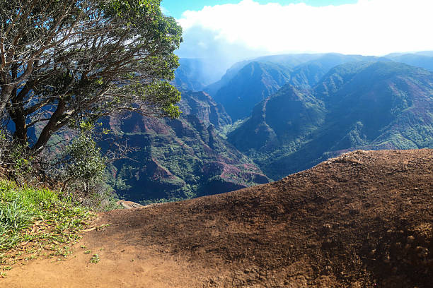 istock Waimea Canyon vista 2248133866