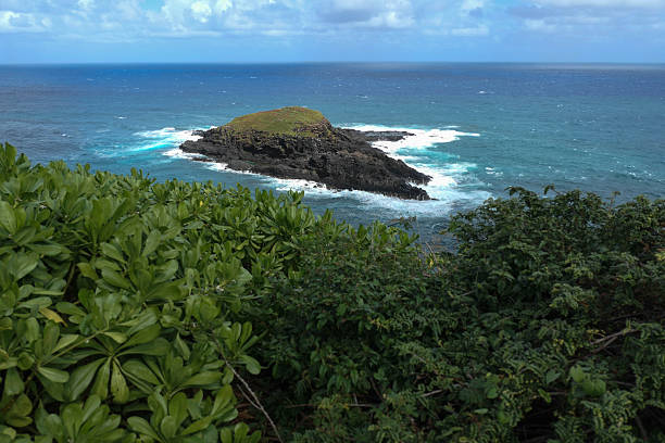 Looking towards Hanalei from the Kilauea Lighthouse refuge area.  Beach and island scene.  Remoteness.