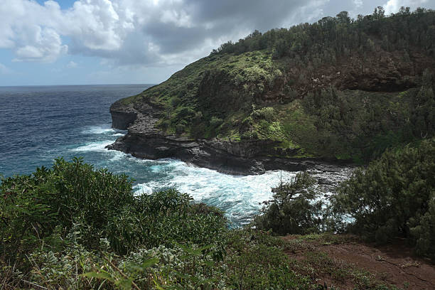 istock Scenic vista from the Kilauea Lighthouse viewing area 2248133921