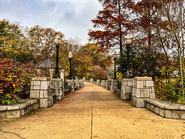 istock Autumn In Piedmont Park 2248142520