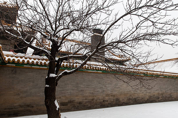 snow view of Forbibben City