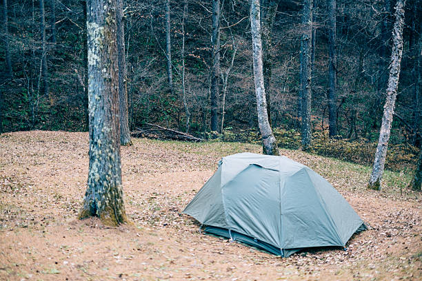 A camping tent set up in a peaceful forest clearing surrounded by tall trees and fallen leaves. Ideal for themes related to outdoor recreation, solo camping, autumn nature, wilderness travel, and serene landscapes.