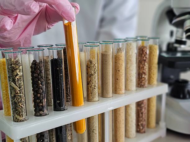 istock Researcher examining colorful substances in laboratory test tubes during a scientific study on herbs and spices concept 2248150405