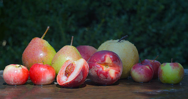 Water droplets on picked apples and pears