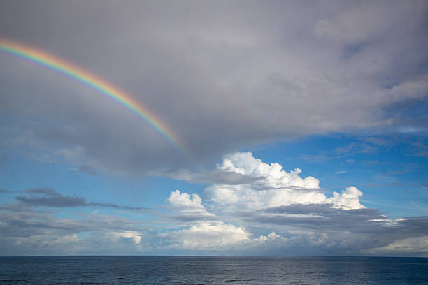 istock Imaginative nature of Amami Oshima, Japan 2248154467