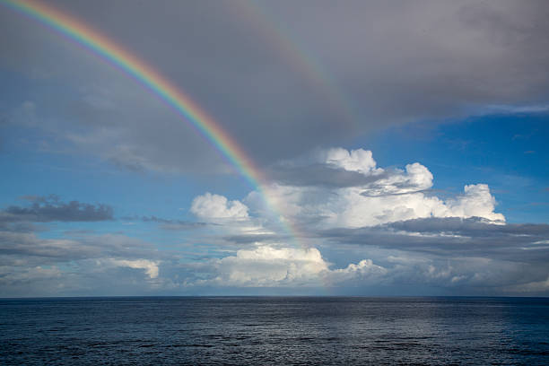 istock Imaginative nature of Amami Oshima, Japan 2248154622