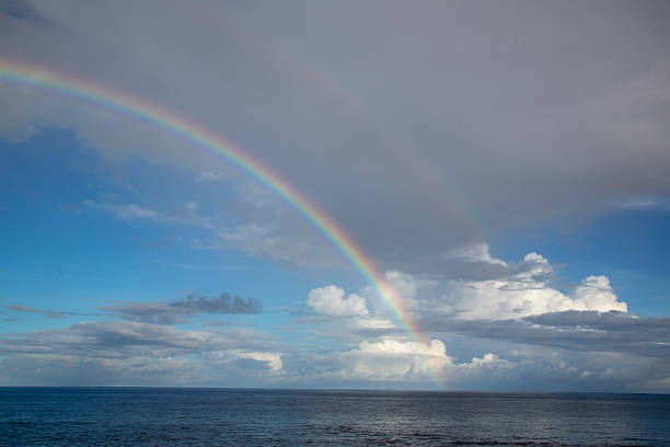 istock Imaginative nature of Amami Oshima, Japan 2248154845