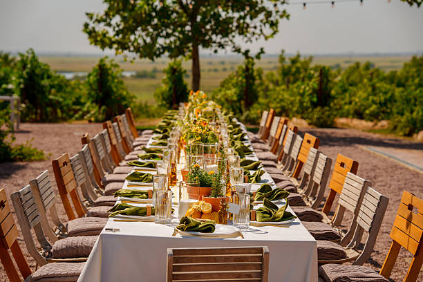 istock Outdoor dining setup with elegant decorations in vineyard 2248156859