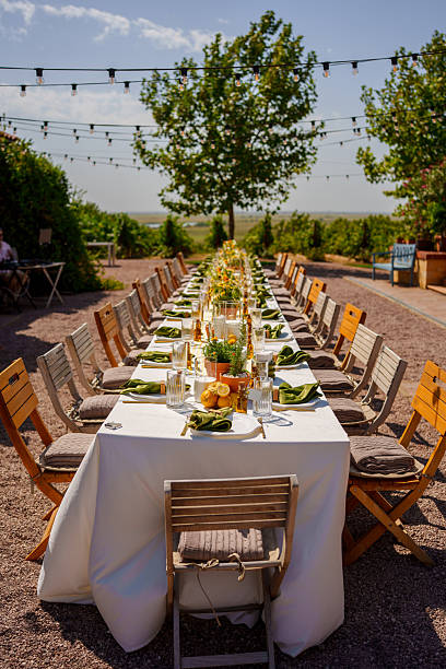 istock Elegant outdoor dining setup in a vineyard during daytime 2248157039