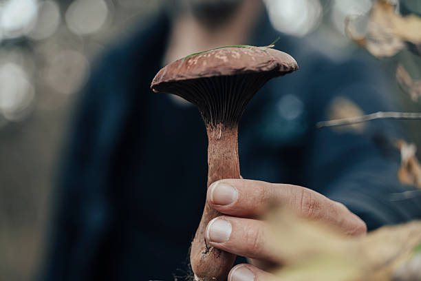 istock Hand Holding Mushroom in Late Autumn Forest 2248157897