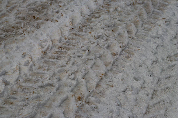 Close-up of overlapping tire tracks imprinted in dirty, compacted snow, showing clear tread textures on a slushy winter surface.