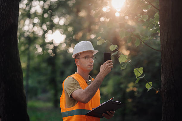istock Forestry engineer taking pictures of leaves with smartphone in forest 2248161675