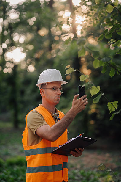 istock Forestry engineer taking photos of plants with smartphone in forest 2248161676
