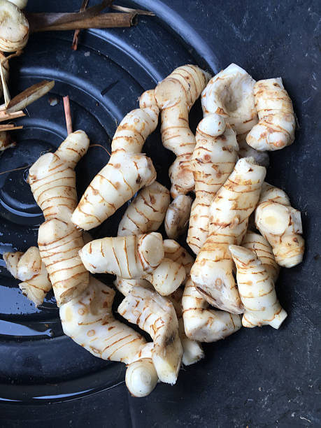 fresh Galangal in market