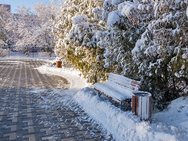 In a city park in winter. Snow-covered tree branches and benches.