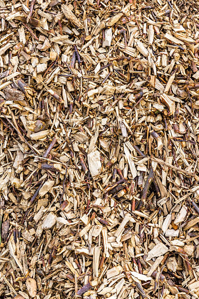 istock Shredder chips as biomass, chopped wood 2248169684