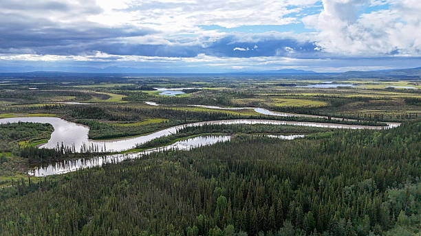 istock Stunning aerial view of winding river cutting through lush green forest under dramatic cloudy sky, perfect for travel, nature, and environmental campaigns 2248174504