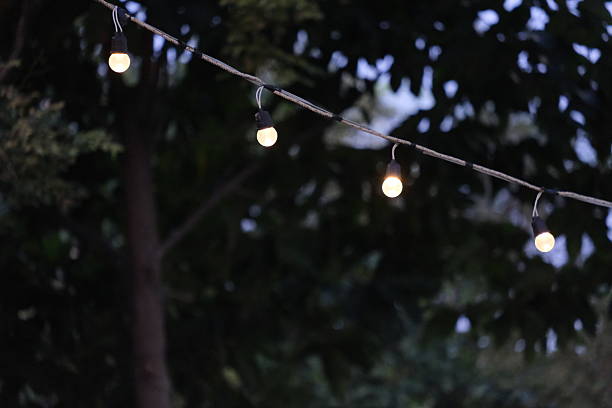 istock Hanging wires in the garden. 2248177491