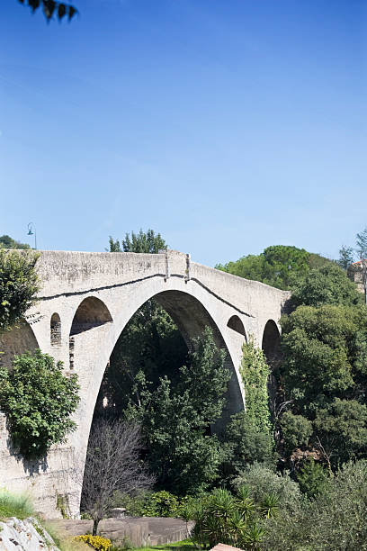 The medieval 14th century bridge, Pont du Diable, which when construction was completed in 1341, with a single span of 45 metres, was the world's largest arch bridge. The bridge, listed as an historic monument, crosses the River Tech. Good copy space.