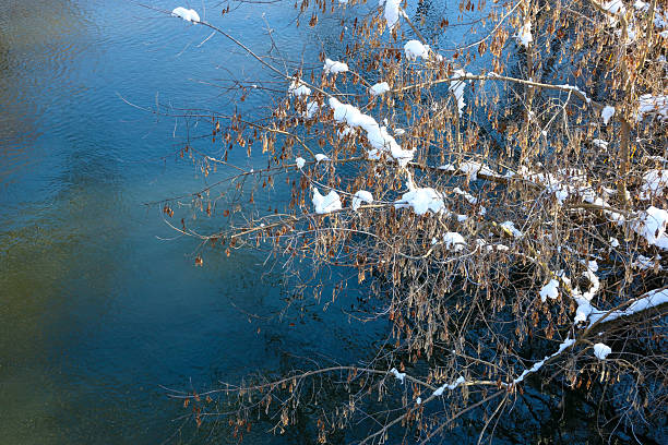 A close-up winter shot captures tree branches overhanging water, dusted with patches of white snow. The calm surface of the river or pond exhibits a deep blue color, contrasting with the dry foliage.