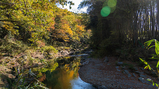 istock Serene Mountain Gorge and Flowing River Landscape at Ranzan Valley 2248183044