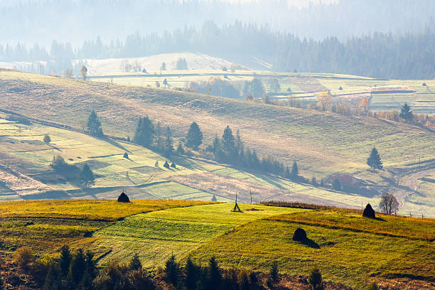 istock rolling hills with green meadows in hazy morning light 2248184020