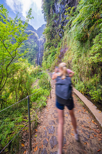 Levada do Risco, Mountain Footpath, Irrigation Channel Maintenance Trail, Madeira, Portugal