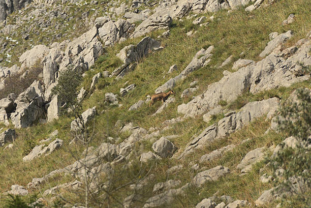 istock Person climbs mountain slope under overcast Cantabrian sky 2248185598