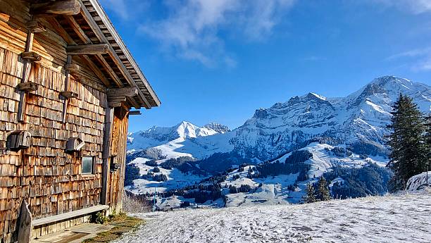 A typical alpine hut with traditional wooden shingles stands in a peaceful winter landscape in the Swiss Alps. Behind the hut rises an impressive mountain range, framed by snow-covered fir trees and bright winter sunlight. The scene was captured in Adelboden in the Bernese Oberland and reflects the serene beauty of the Alps on a clear winter day.