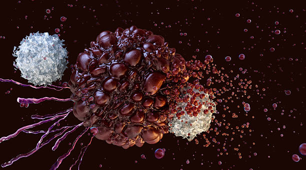 istock White T-cell attacking and destroying cancer tumor cell 2248191193