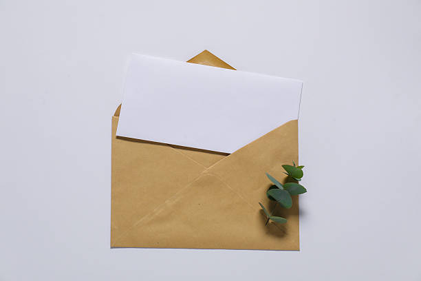 istock Kraft paper envelope with letter and eucalyptus branch on white background, top view. Mockup for design 2248191559