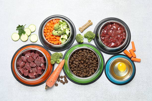 istock Dry pet food and natural products on light table, top view 2248192510