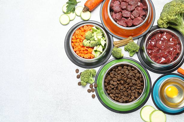 istock Dry pet food and natural products on light table, top view. Space for text 2248192512