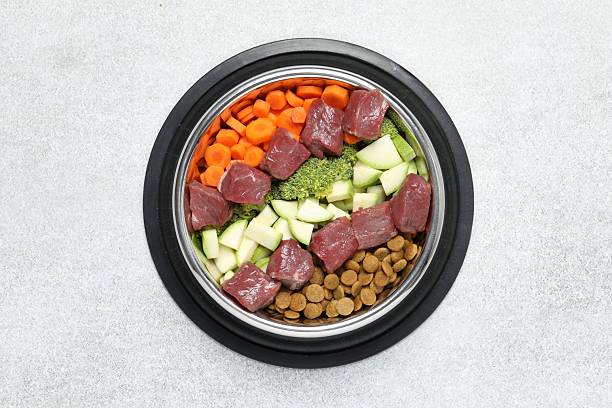 istock Dry pet food and natural products on light table, top view 2248192515