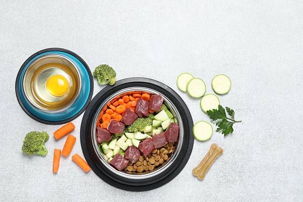 istock Dry pet food and natural products on light table, top view 2248192551