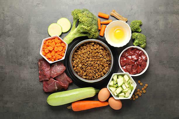 istock Dry pet food and natural products on grey table, top view 2248192553
