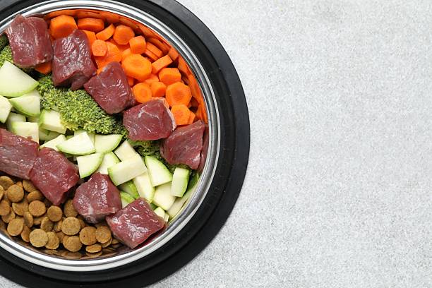 istock Dry pet food and natural products on light table, top view. Space for text 2248192558