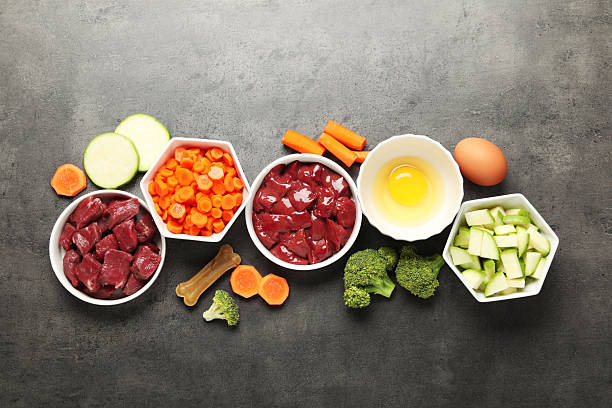 istock Pet food. Natural products on grey table, top view 2248192590