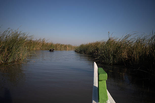 istock Nasiriyah, Iraq - November 20, 2025: Marsh Arab Operating a Cargo-Laden Mashoof Boat through Dense Reed 2248193995