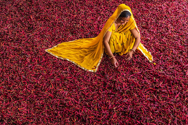 istock Colors of India - Young Indian woman sorting red chilli peppers, Jaipur, India 2248196708
