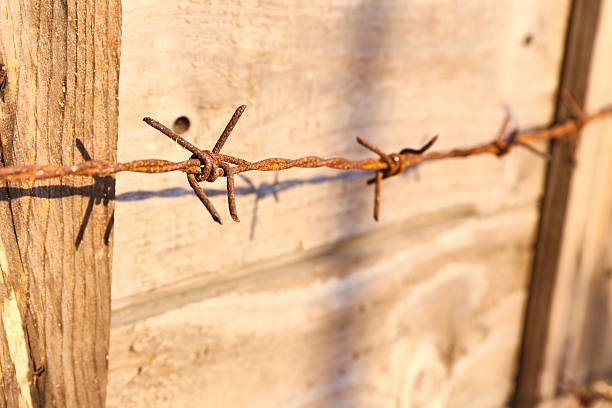 Barbed wire on wood fence background, selective focus