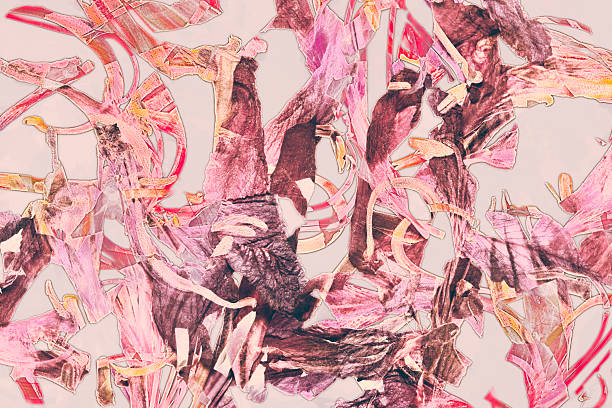 red-pink abstract flower petals against gray background in solarized effect from Spain nature