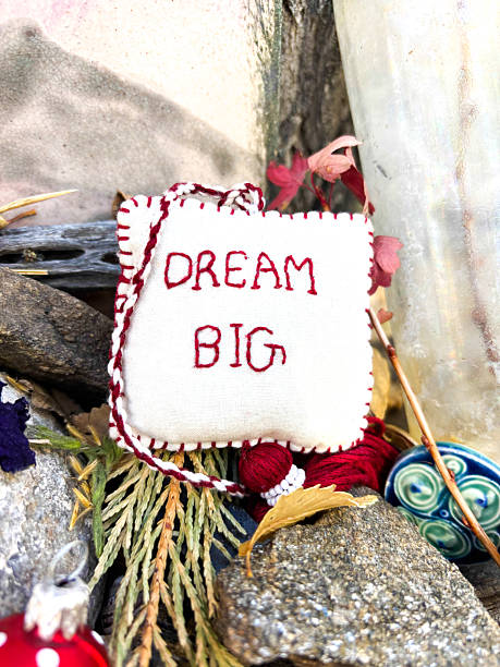 istock Sign on Little Embroidered Pillow: DREAM BIG 2248203604